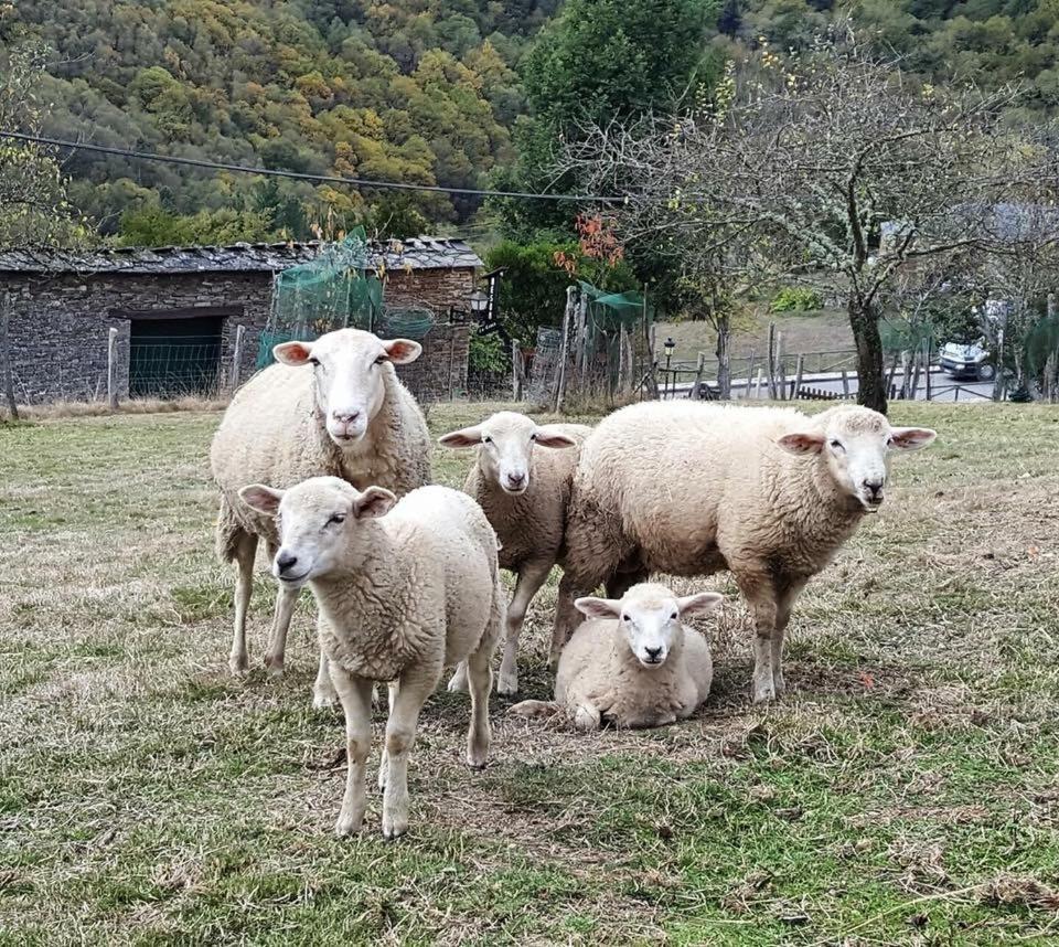 Rurales Tin Turismo